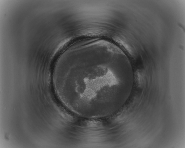 X0000091350400200708311520