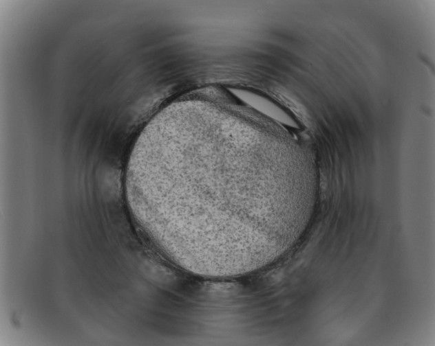 X0000091350401200708311520