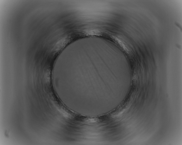 X0000091350402200708311520