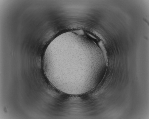 X0000091350403200708311520