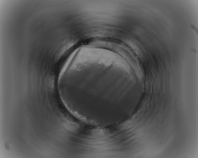 X0000091350404200708311520