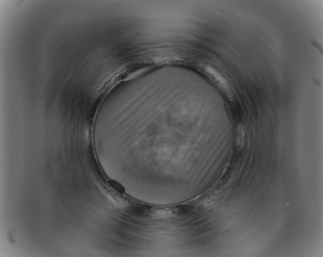 X0000091350405200708311520