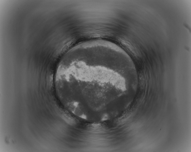 X0000091350406200708311520