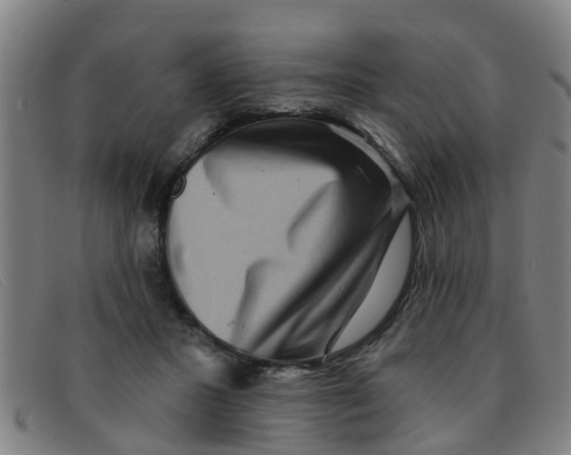 X0000091350407200708311520