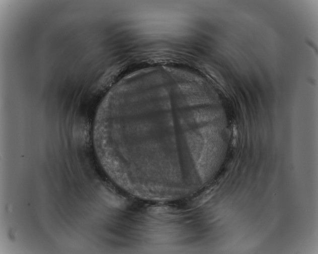 X0000091350408200708311520