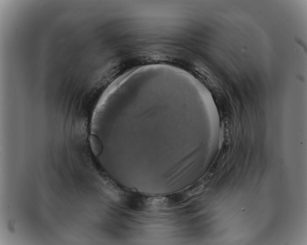 X0000091350410200708311520