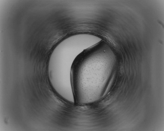 X0000091350411200708311520