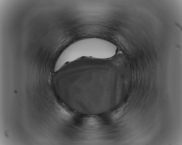 X0000091350412200708311520