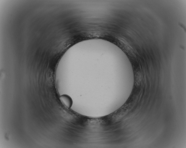 X0000091350414200708311520