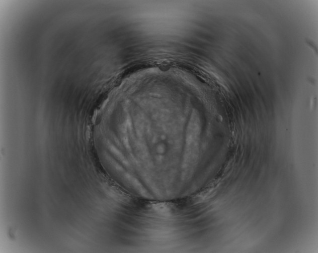 X0000091350417200708311520