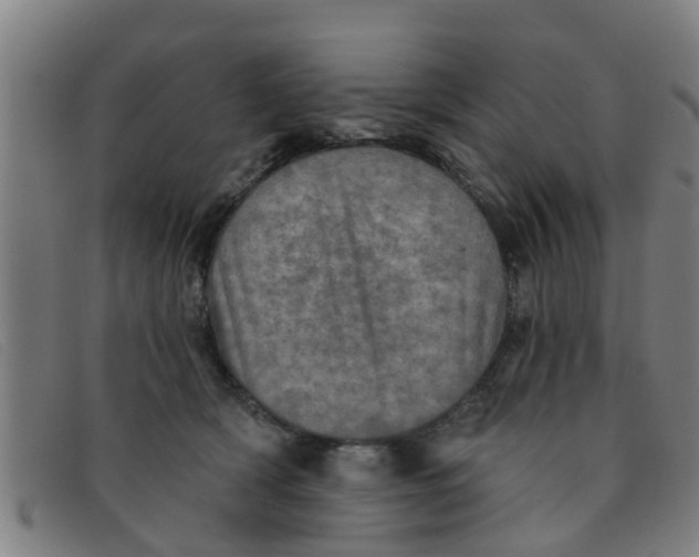 X0000091350418200708311520