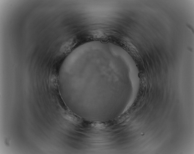 X0000091350419200708311520