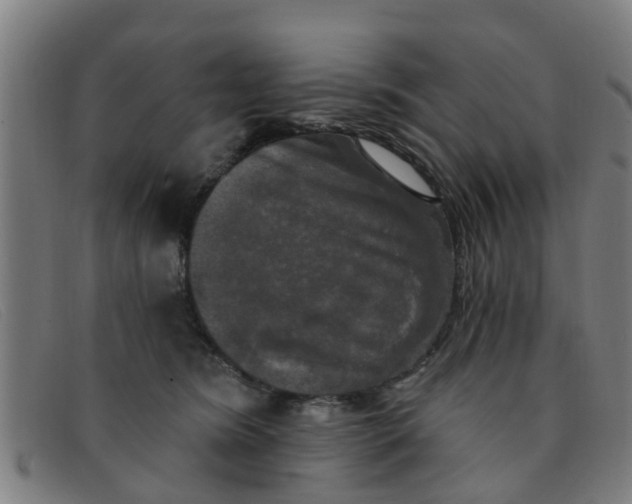 X0000091350420200708311520