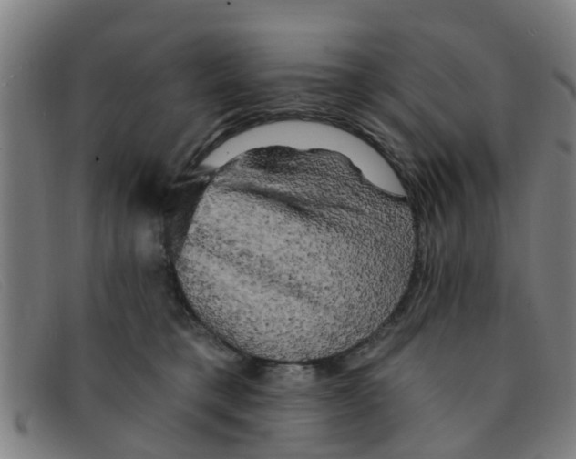 X0000091350421200708311520