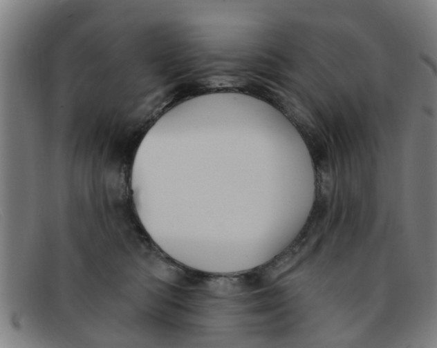 X0000091350422200708311520