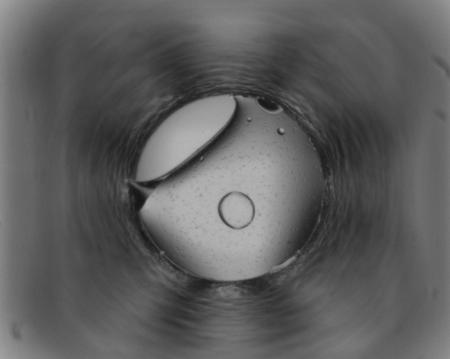 X0000091350423200708311520