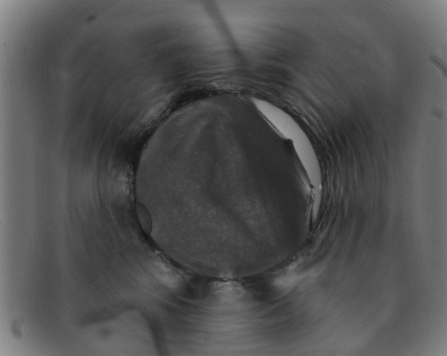 X0000091350424200708311520