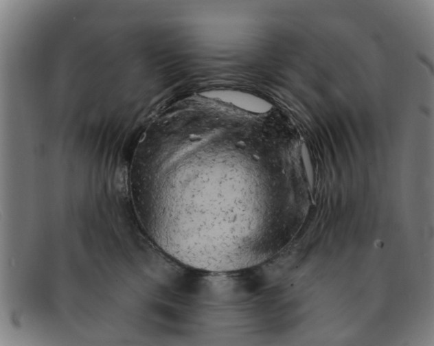 X0000091350425200708311520