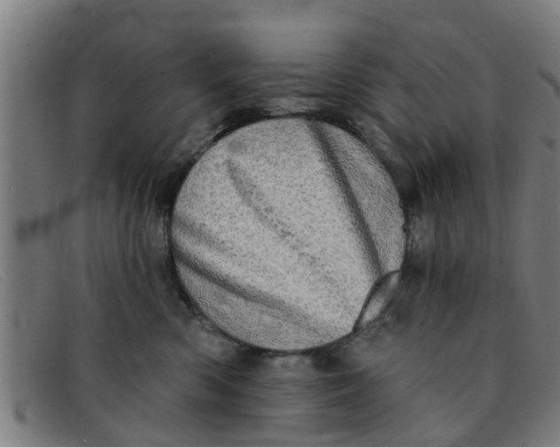 X0000091350426200708311520
