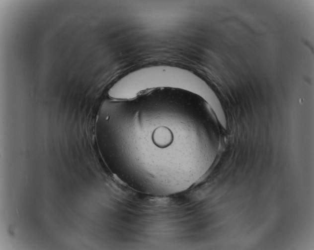 X0000091350428200708311520