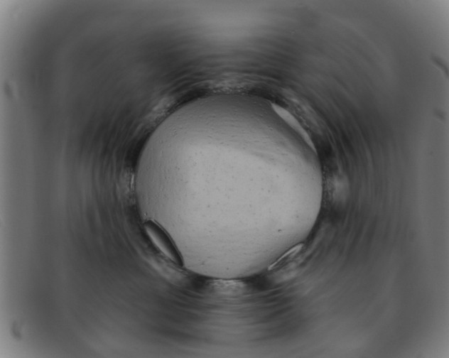 X0000091350429200708311520