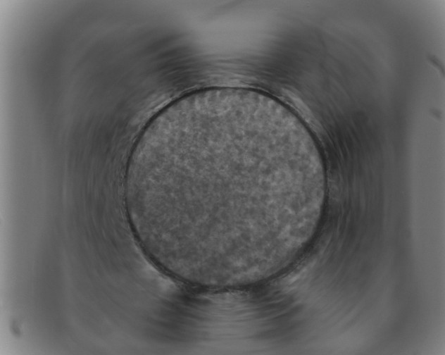 X0000091350433200708311519