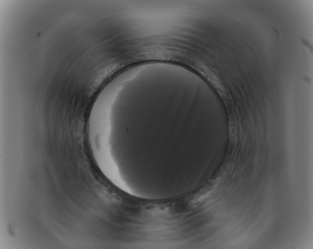 X0000091350434200708311519