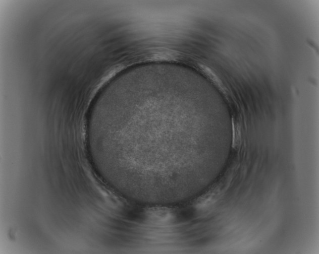 X0000091350435200708311519