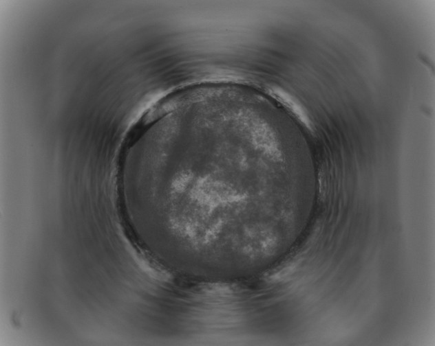 X0000091350436200708311519