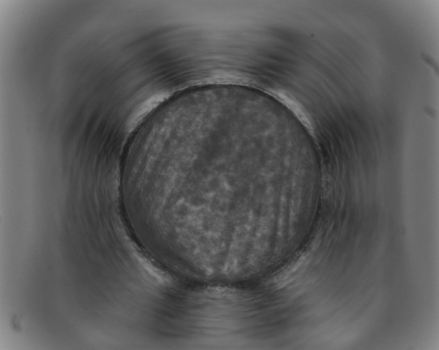 X0000091350437200708311519