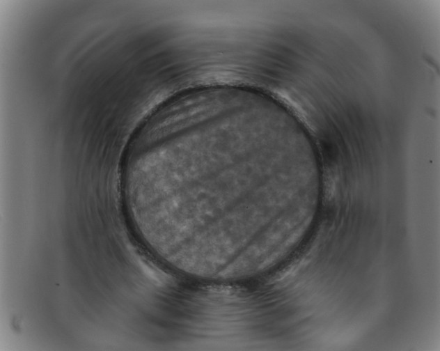 X0000091350439200708311519