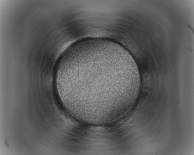 X0000091350440200708311519