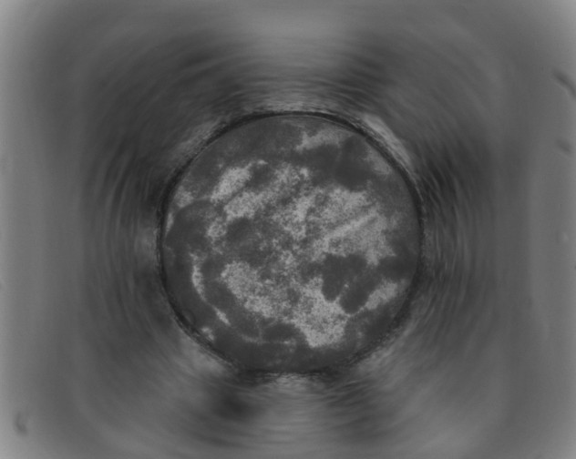 X0000091350441200708311519