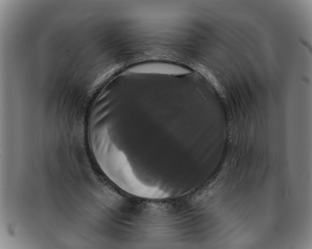 X0000091350442200708311519