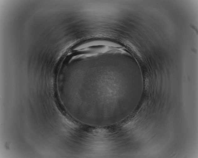X0000091350444200708311519
