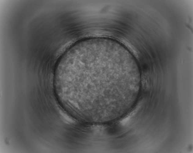 X0000091350445200708311519