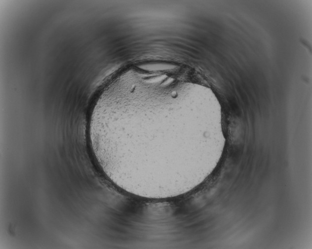 X0000091350446200708311519
