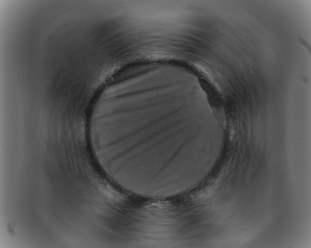 X0000091350447200708311519