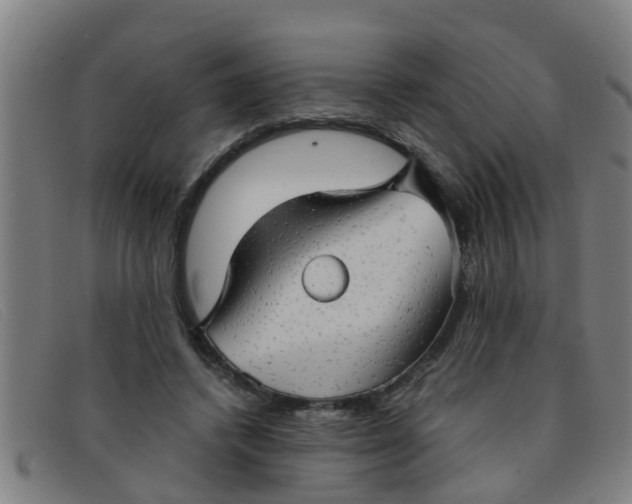 X0000091350448200708311519