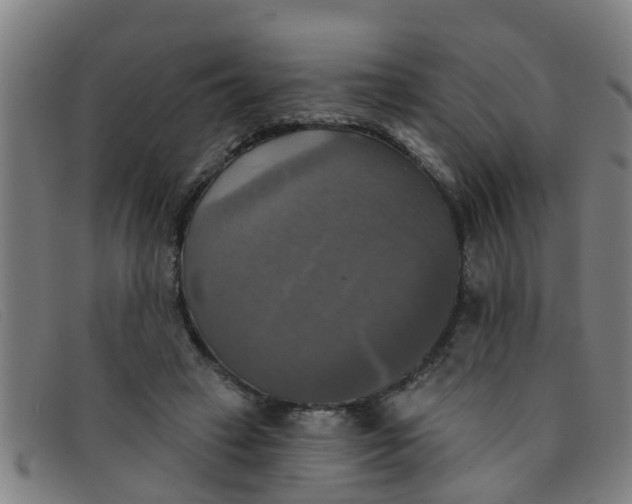 X0000091350449200708311519