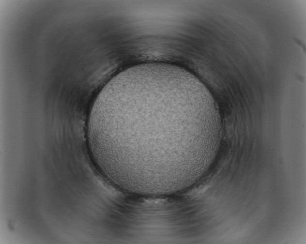 X0000091350450200708311519