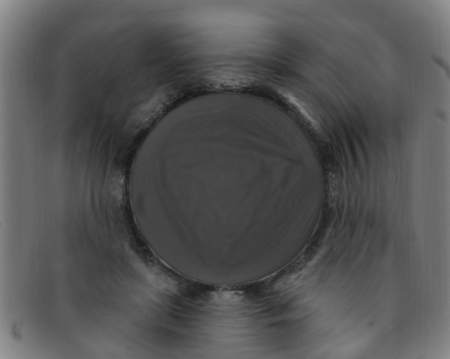 X0000091350451200708311519