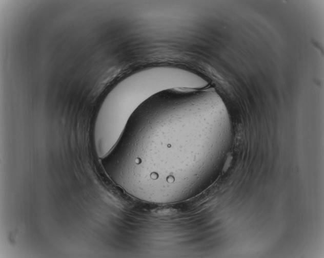 X0000091350452200708311519