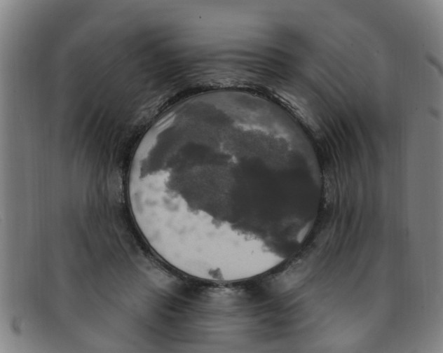 X0000091350453200708311519
