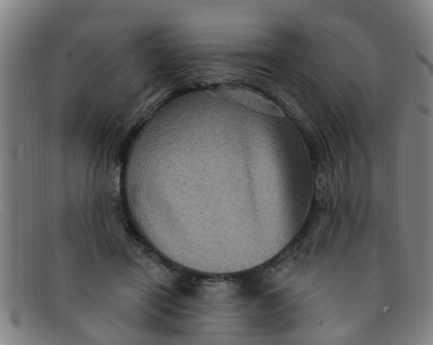 X0000091350454200708311519