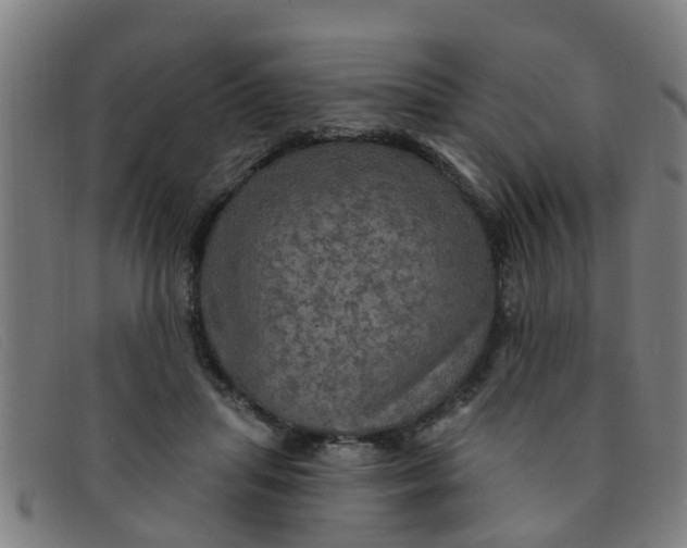X0000091350455200708311519
