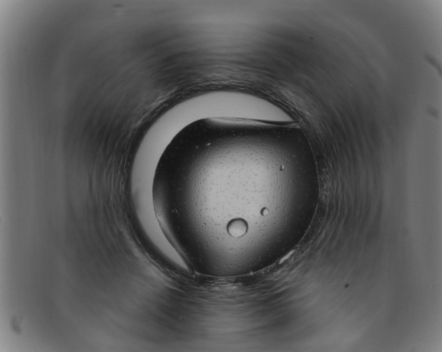X0000091350456200708311519