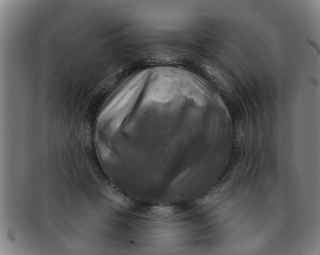 X0000091350457200708311519