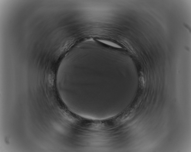 X0000091350458200708311519