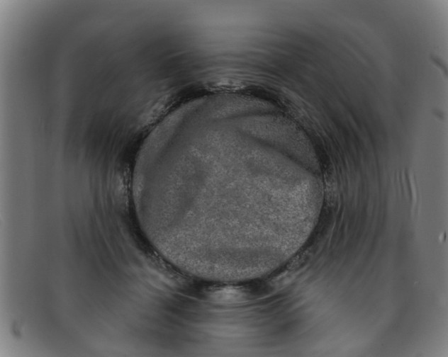 X0000091350460200708311519